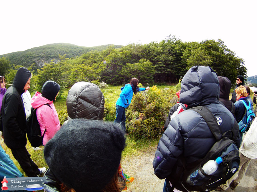 Parque Nacional TDF Tolkeyen Patagonia Turismo