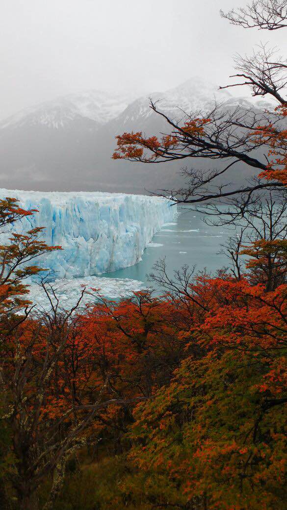 Otoño en el Glaciar Perito Moreno