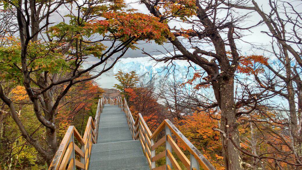 Otoño en el Glaciar Perito Moreno