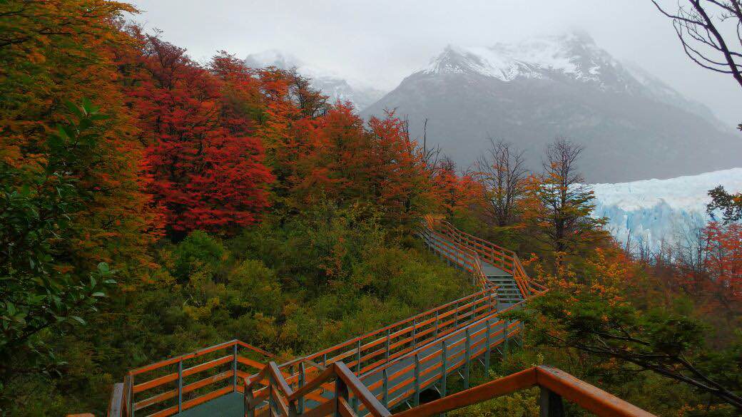 Otoño en el Glaciar Perito Moreno