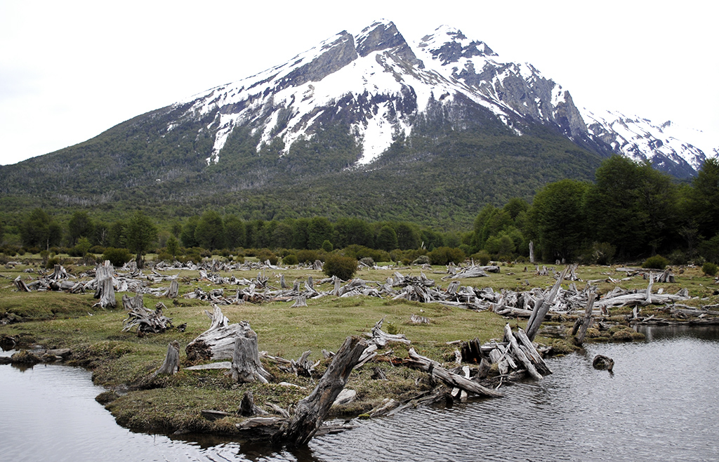parque-nacional-ushuaia