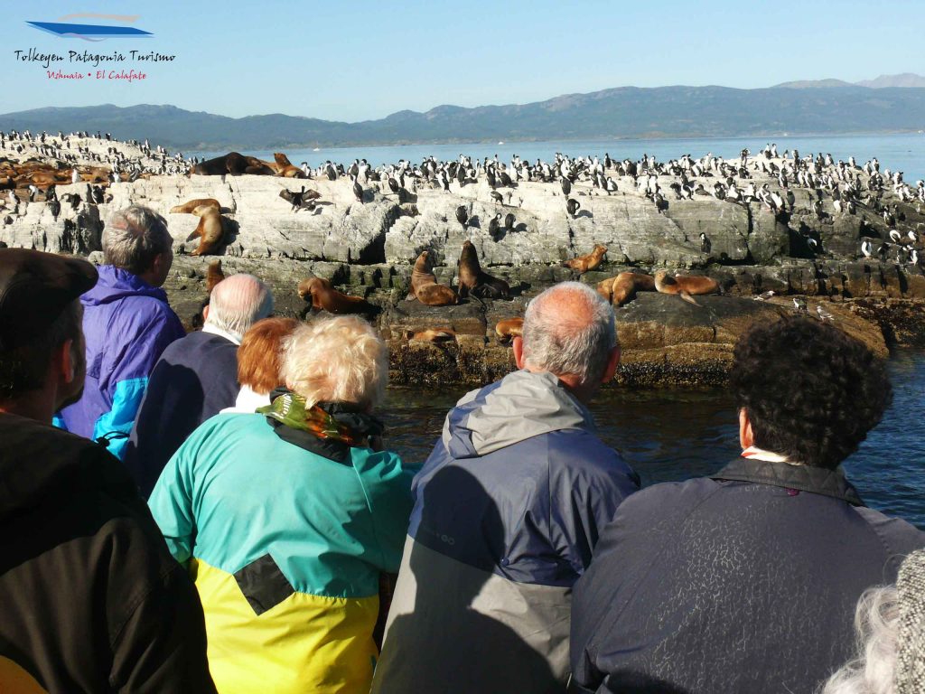 Visita a la Isla de Lobos