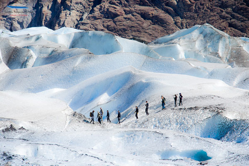 Viedma Ice Trek
