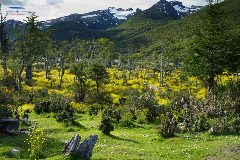 Paisajes del Parque Nacional TIerra del Fuego